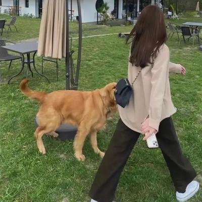 密告之歌2